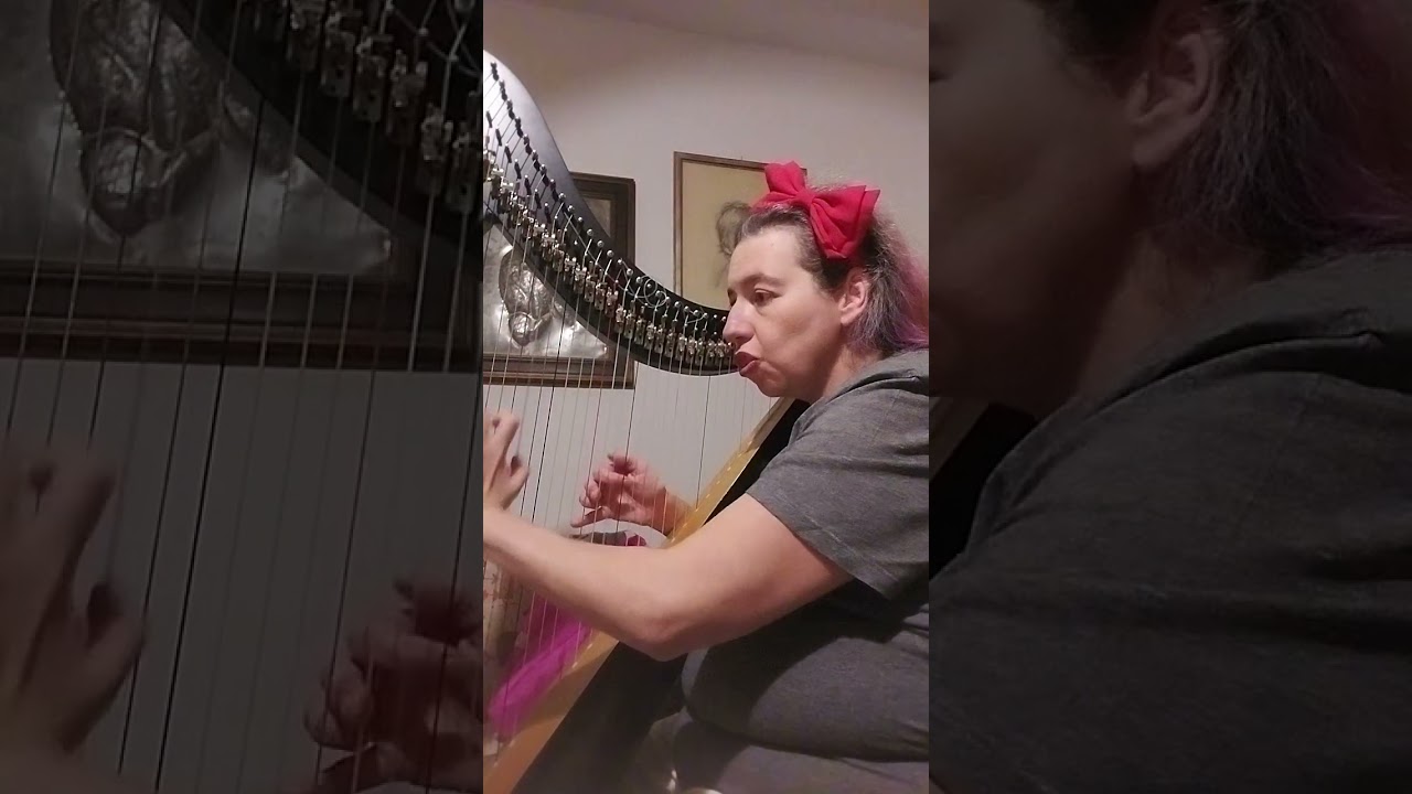 MILLE CHERUBINI IN CORO - F. Schubert 