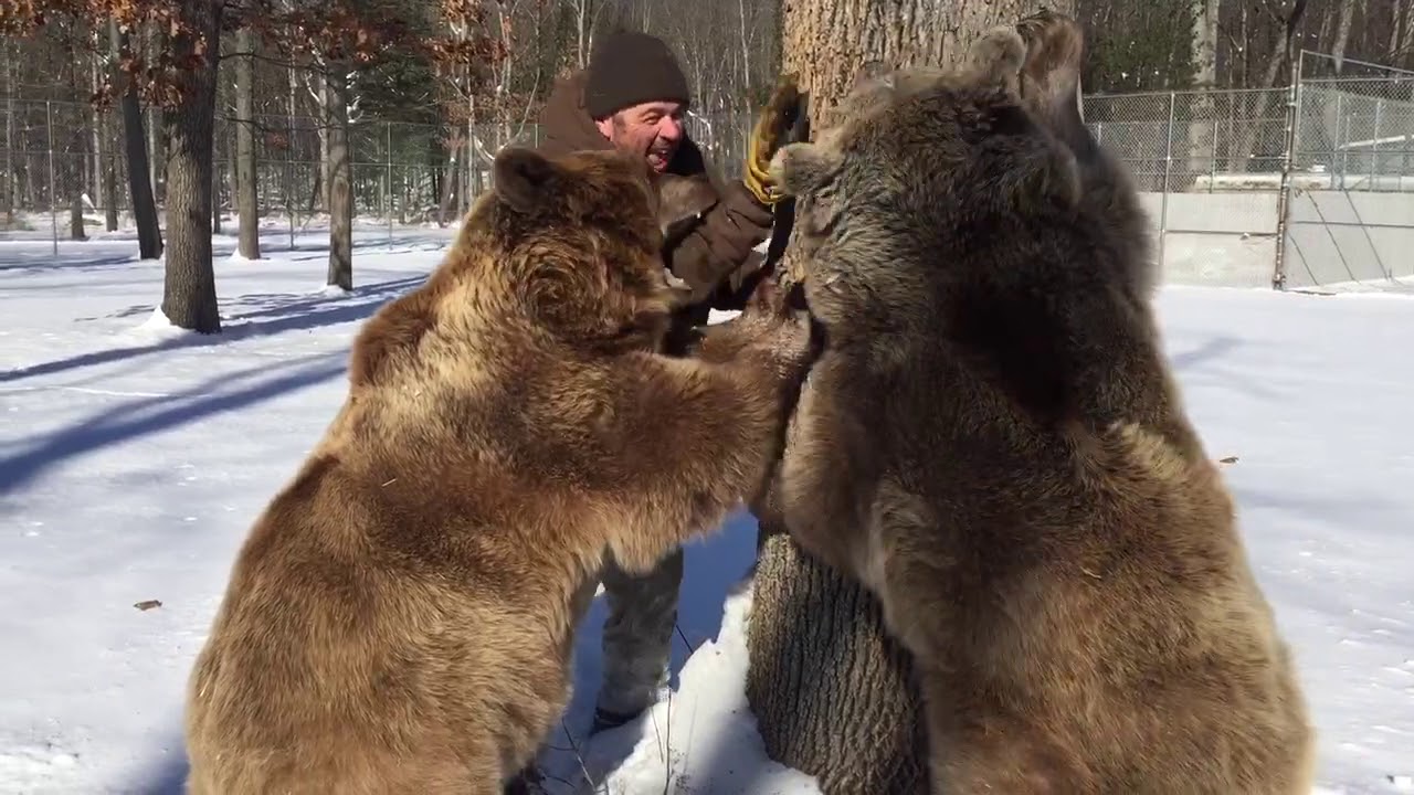 They absolutely LOVE to play with Jim.
