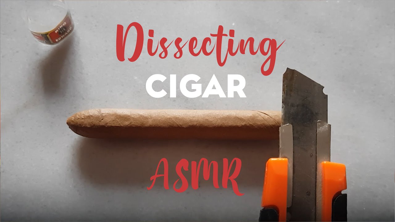 Dissecting a cigar - what's in a cigar