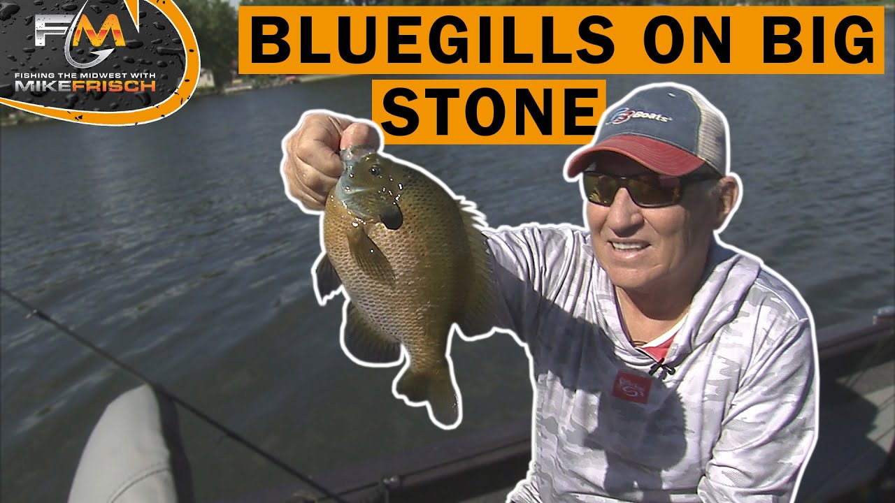 Chasing Bluegills on Big Stone - FTM 2025 E4