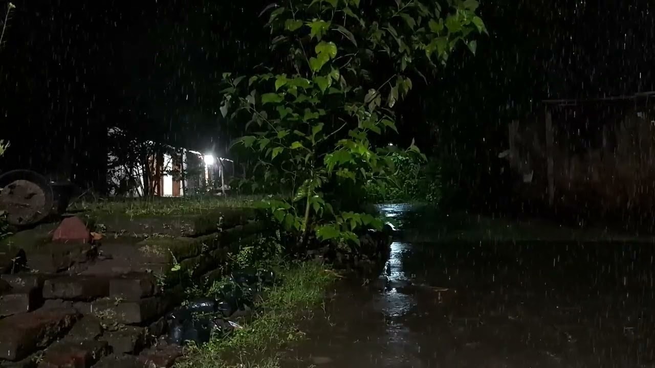 Black Screen Rain: Relaxing Rain Sound for Deep Sleep, No Light Distraction for Total Rest