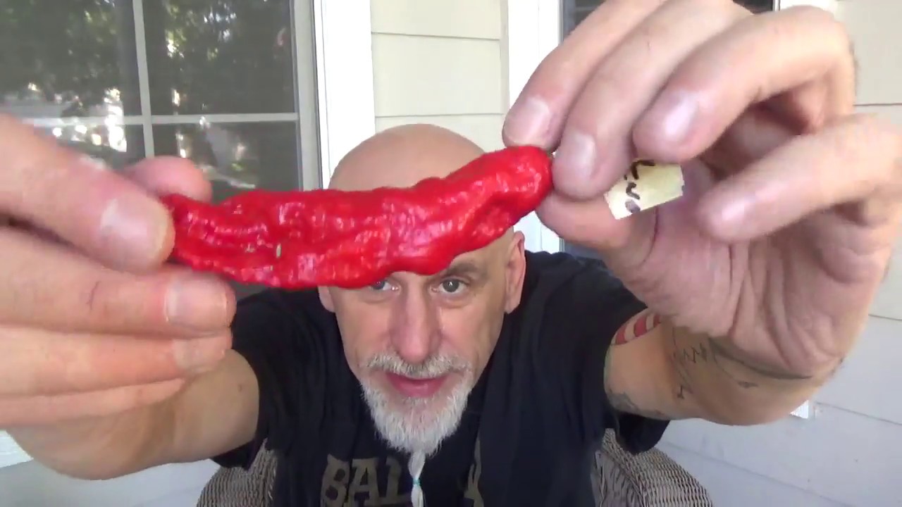 GHOSTLY JALAPENO CROSS! This is a great Pepper, but do not buy seeds from Jimmy pickles