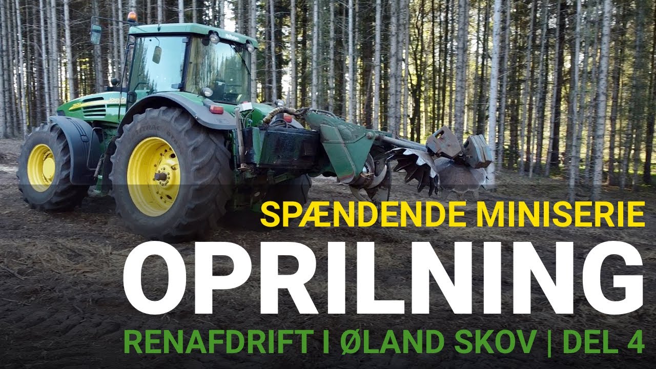 Spændende serie omkring skovbrug. Sådan OPRILLES der i Øland Skov. Del 4.