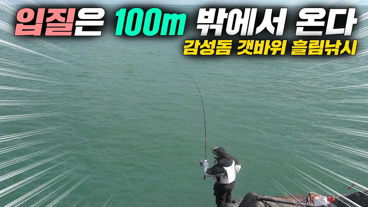 저수온기 감성돔 낚시 본류대 끝자락을 공략해 보자!