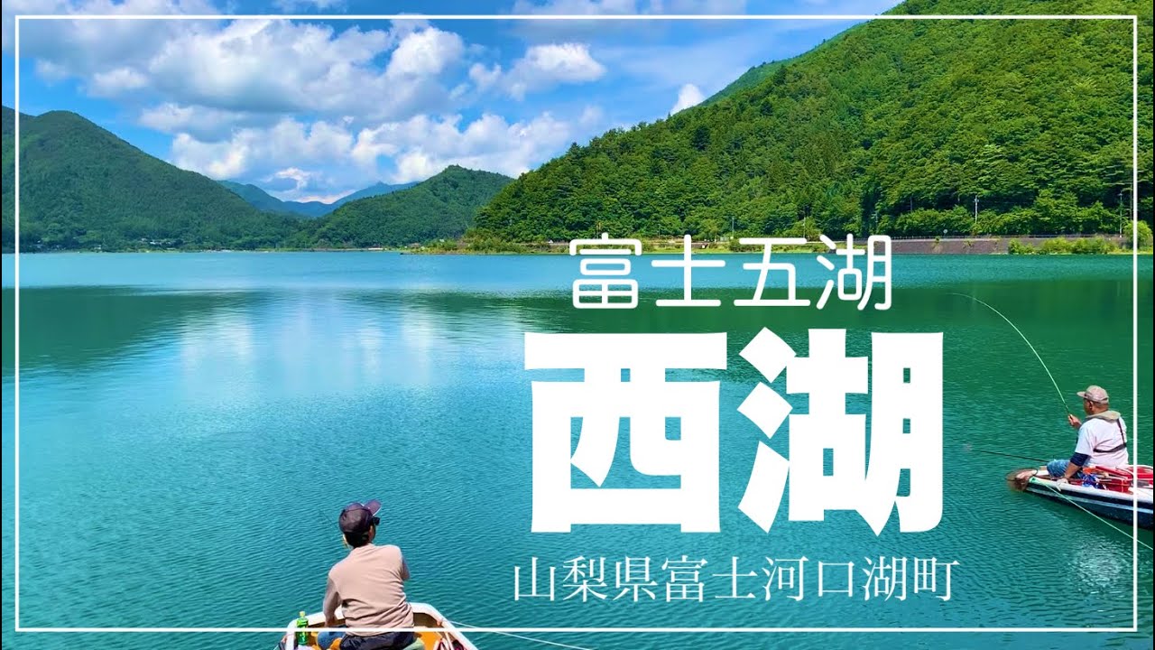西湖で最高なへらぶな釣り 舟釣り 山梨県富士河口湖町 つり宿青木ヶ原