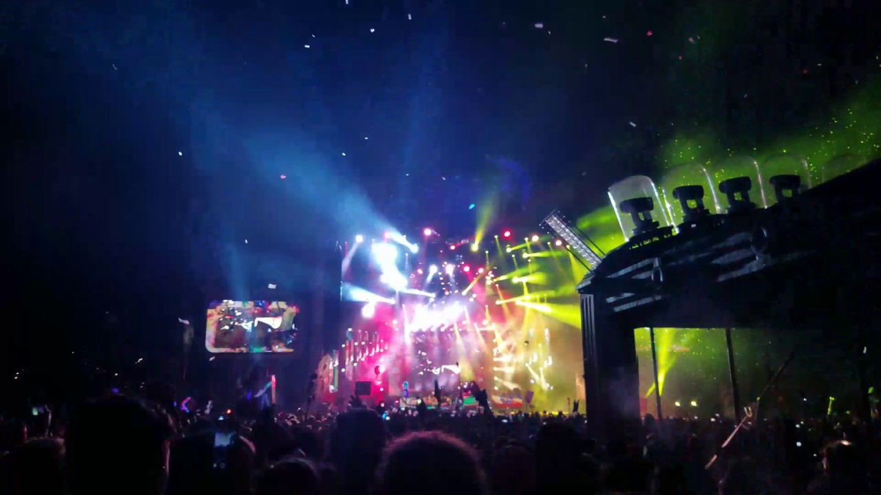Bassnectar Bass Head at Electric Forest 2017