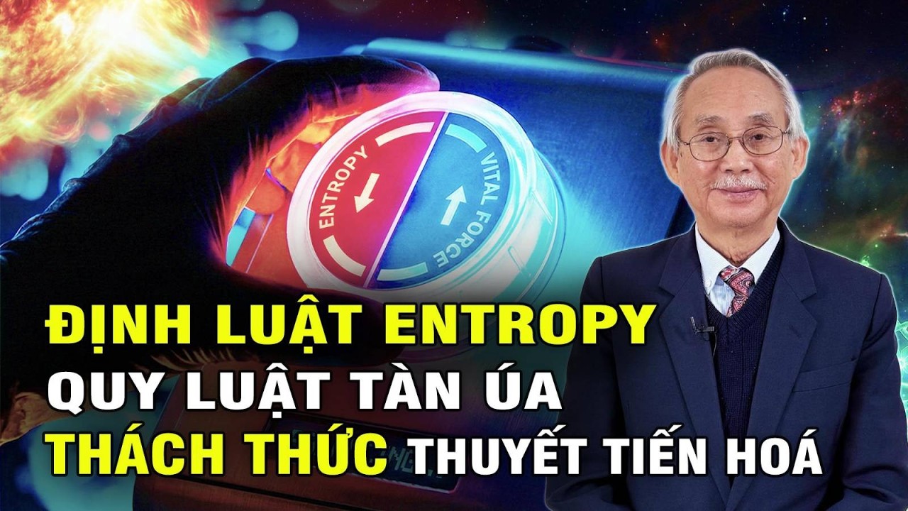 🔥 Định Luật Entropy: Vì Sao Vũ Trụ Dần Tàn Úa Nhưng Sự Sống Xuất Hiện? | Thuyết Tiến Hóa T15 P1/2