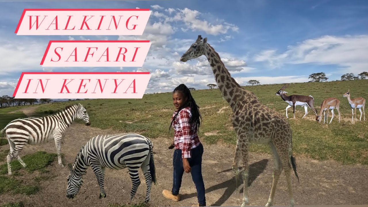 ONLY in Kenya WALKING SAFARI Better than Massai Mara ? / Crescent Island