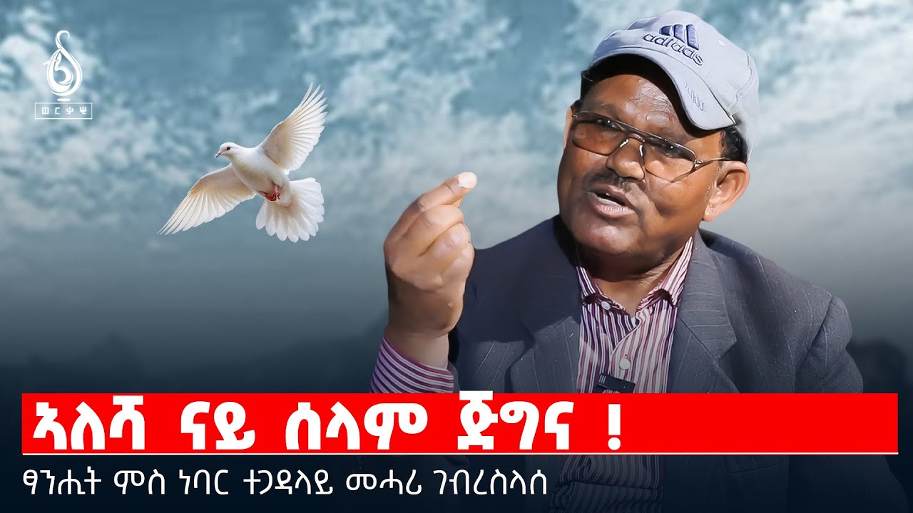 TBS TV| ኣለሻ ናይ ሰላም ጅግና ! | ፃንሒት ምስ ነባር ተጋዳላይ መሓሪ ገብረስላሰ