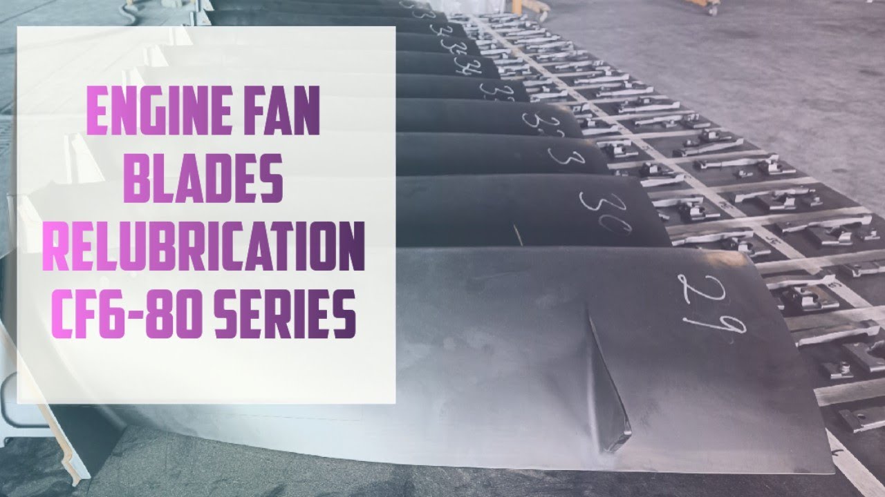 See How Quick & Easy Engine [CF6-80] Fan Blade Relubrication Can Be! | Aviation Daily|ATA Chapter 72