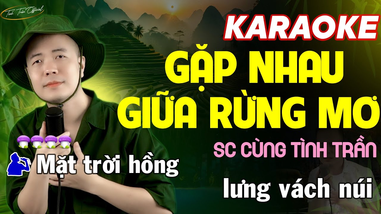GẶP NHAU GIỮA RỪNG MƠ Karaoke Thiếu Giọng Nữ ➤ Song Ca Cùng Tình Trần