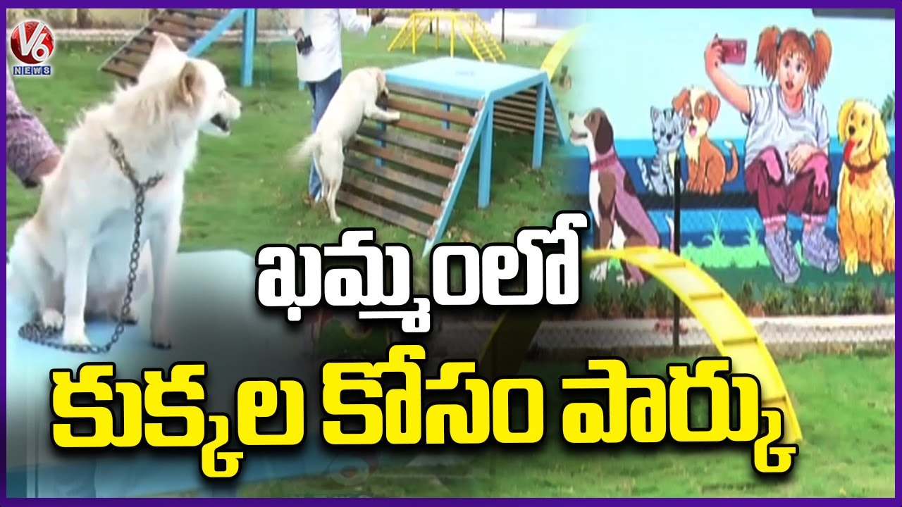New Dog Park Opens in Khammam for Pet Lovers | V6 News