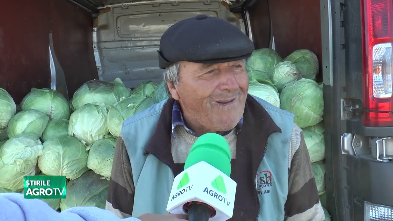 Lungulețu Dâmbovița, este ”VARZĂ” producția de    VARZĂ 16 11 2023