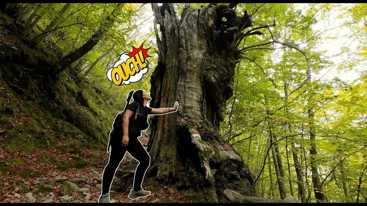 Cadono Castagne!!!😩 Da Isola Santa al borgo abbandonato di Col di Favilla