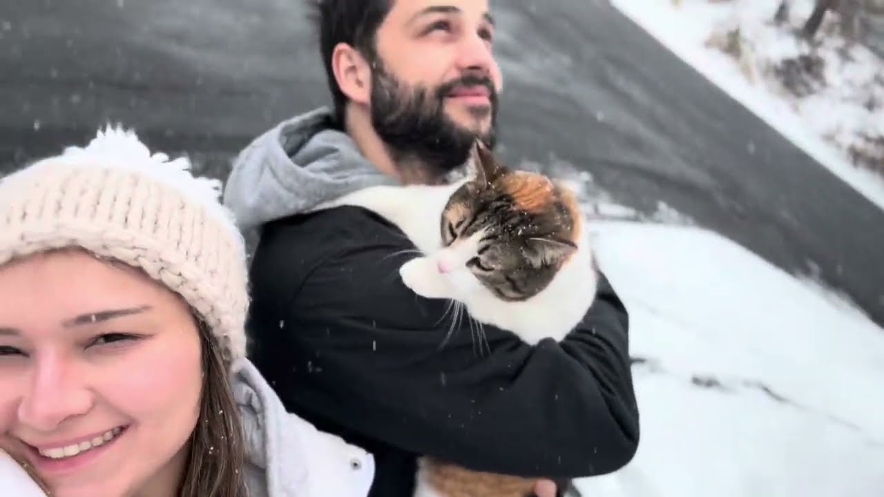 Vet Visit Vlog #cat #catlovers #vlogs #trends