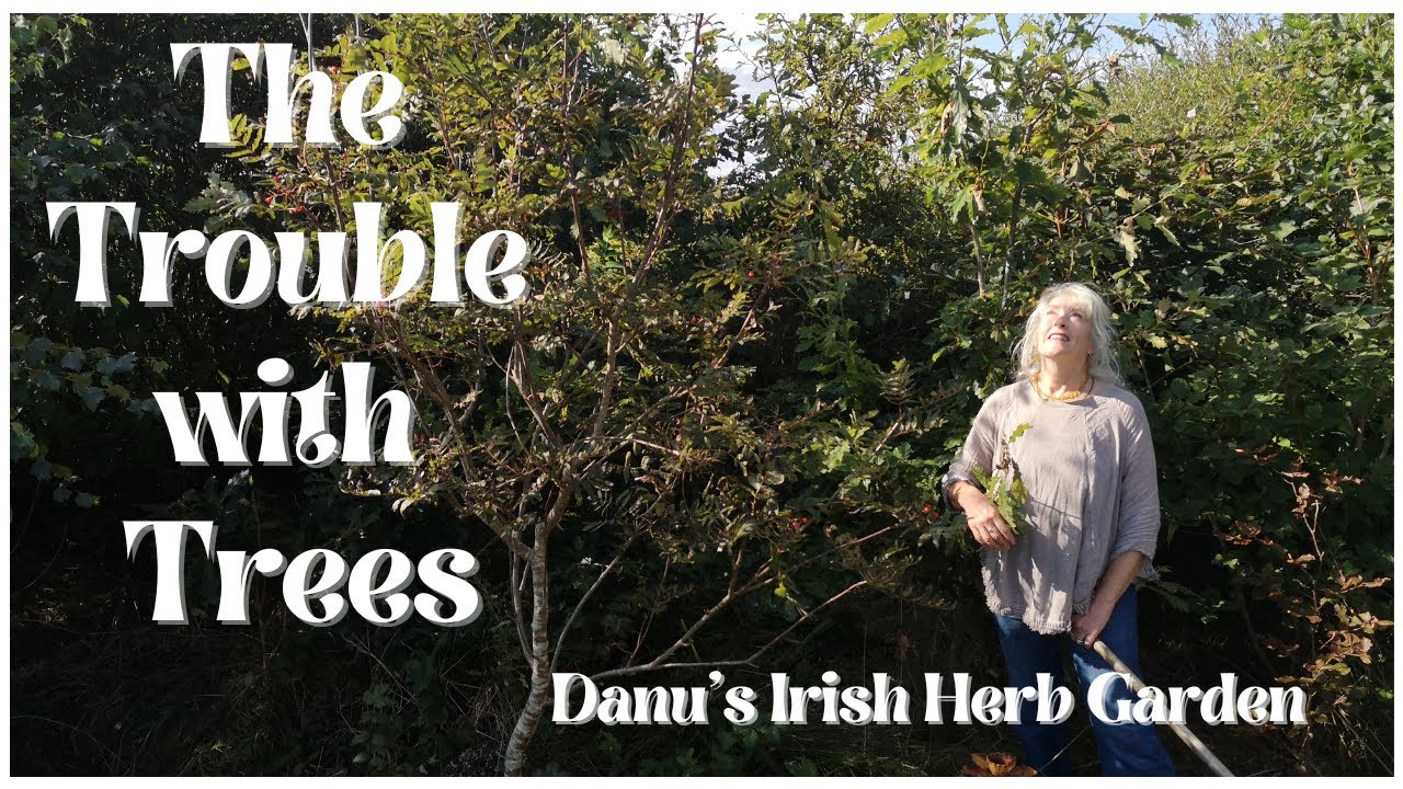 The Trouble with Trees