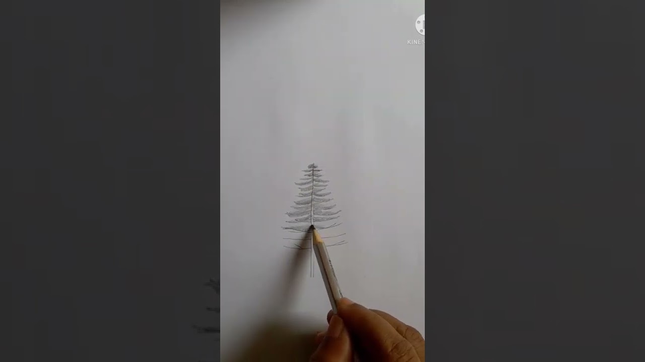 How to draw pine tree/tree drawing #pinetreedrawing #shorts #treedrawing #drawingshorts