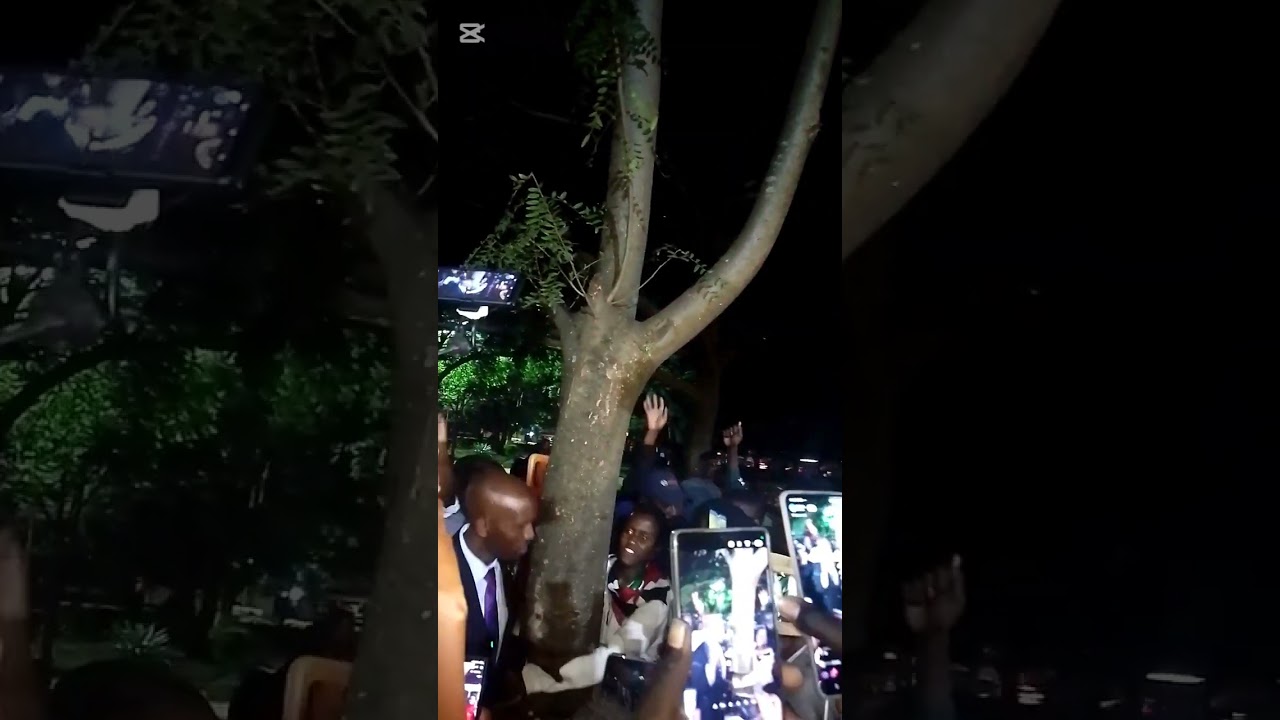 steve, the boy who broke the 50 hours record of holding a tree at jevanjee gardens Nairobi