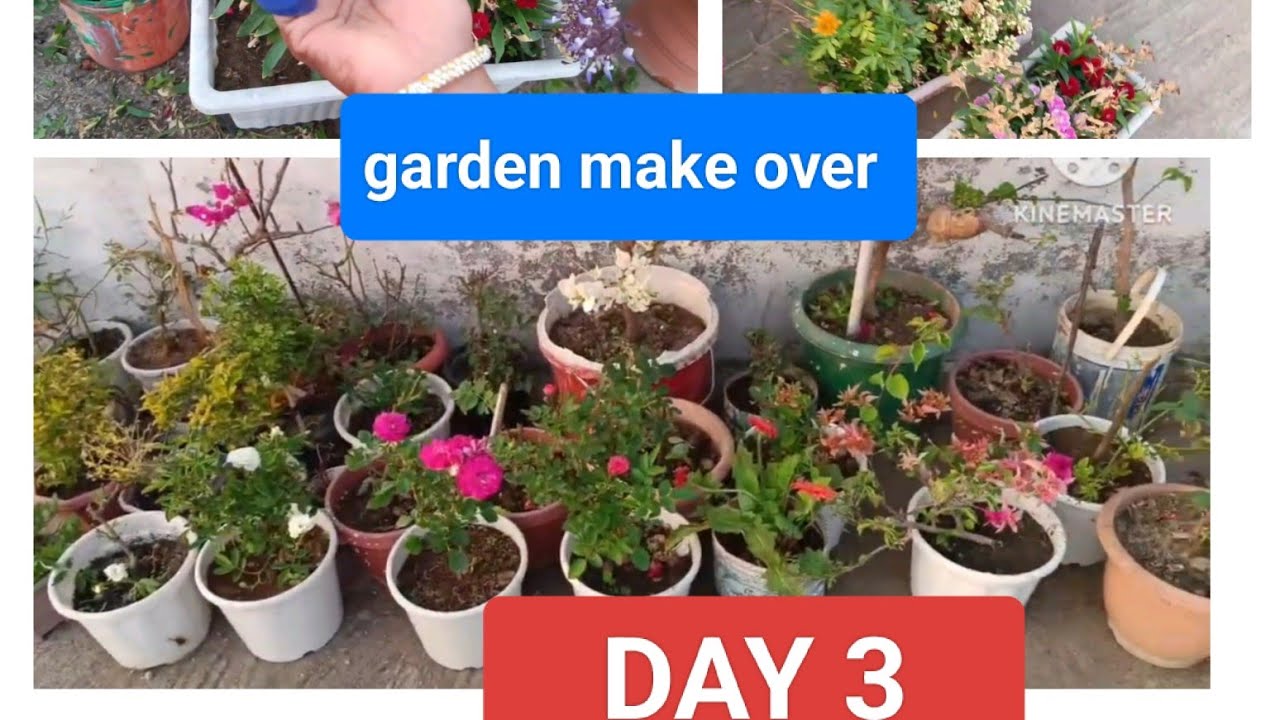 Garden makeover ka 3 din/मेकओवर का तीसरा दिन @pyara_57_garden 