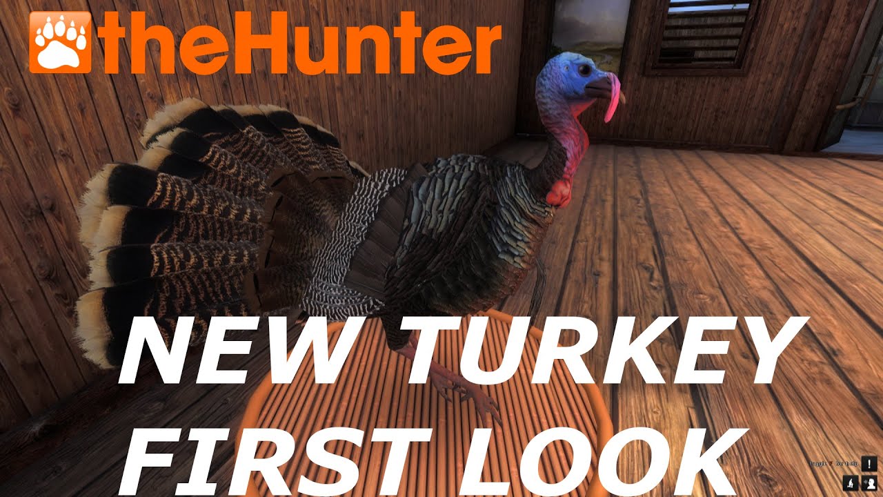 New Turkey Models First Look theHunter Classic 2020 1440p