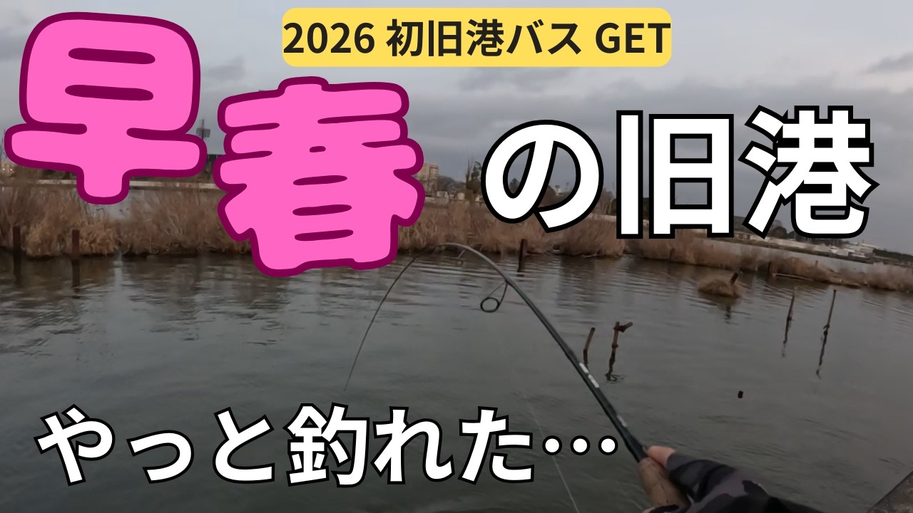 【霞ヶ浦 バス釣り】早春の土浦旧港　ミドストしたらコン!!ってキタ