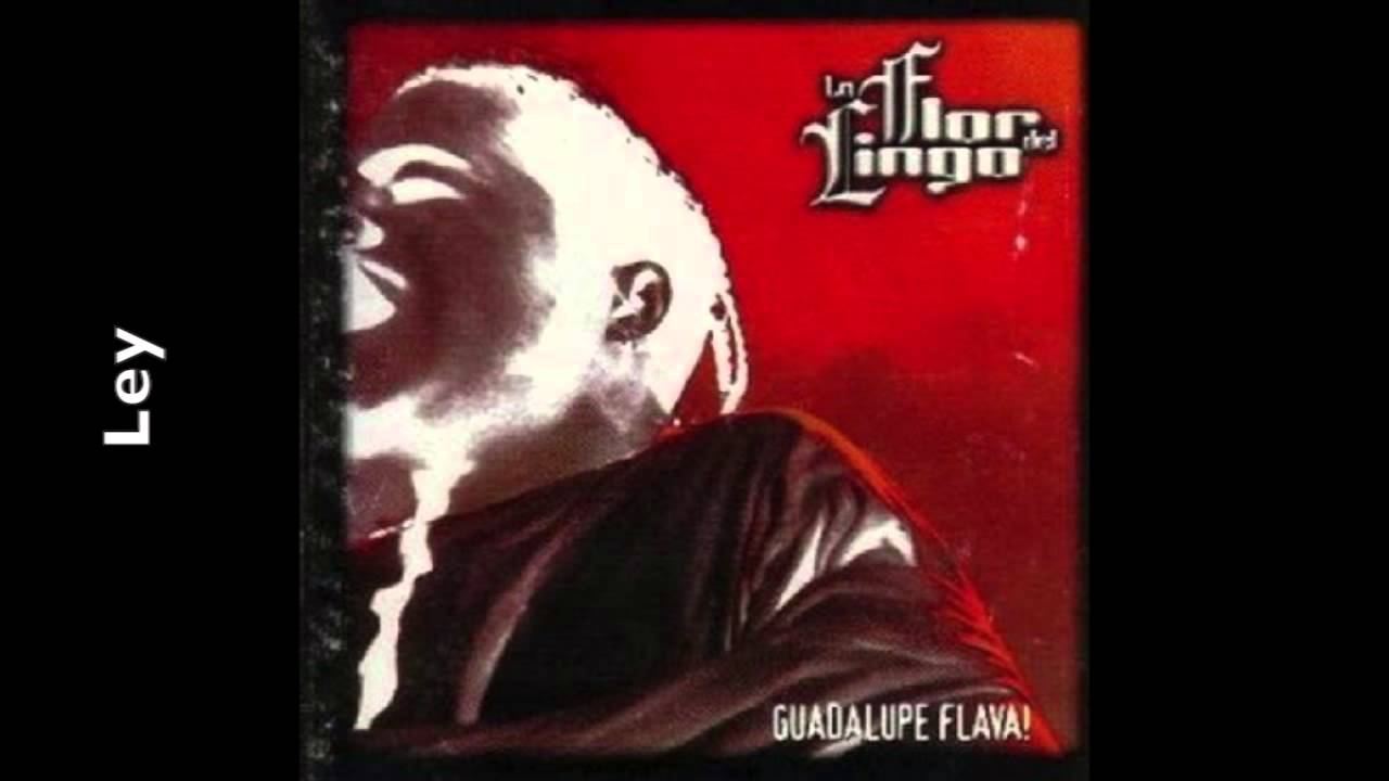 La Flor del Lingo - Ley