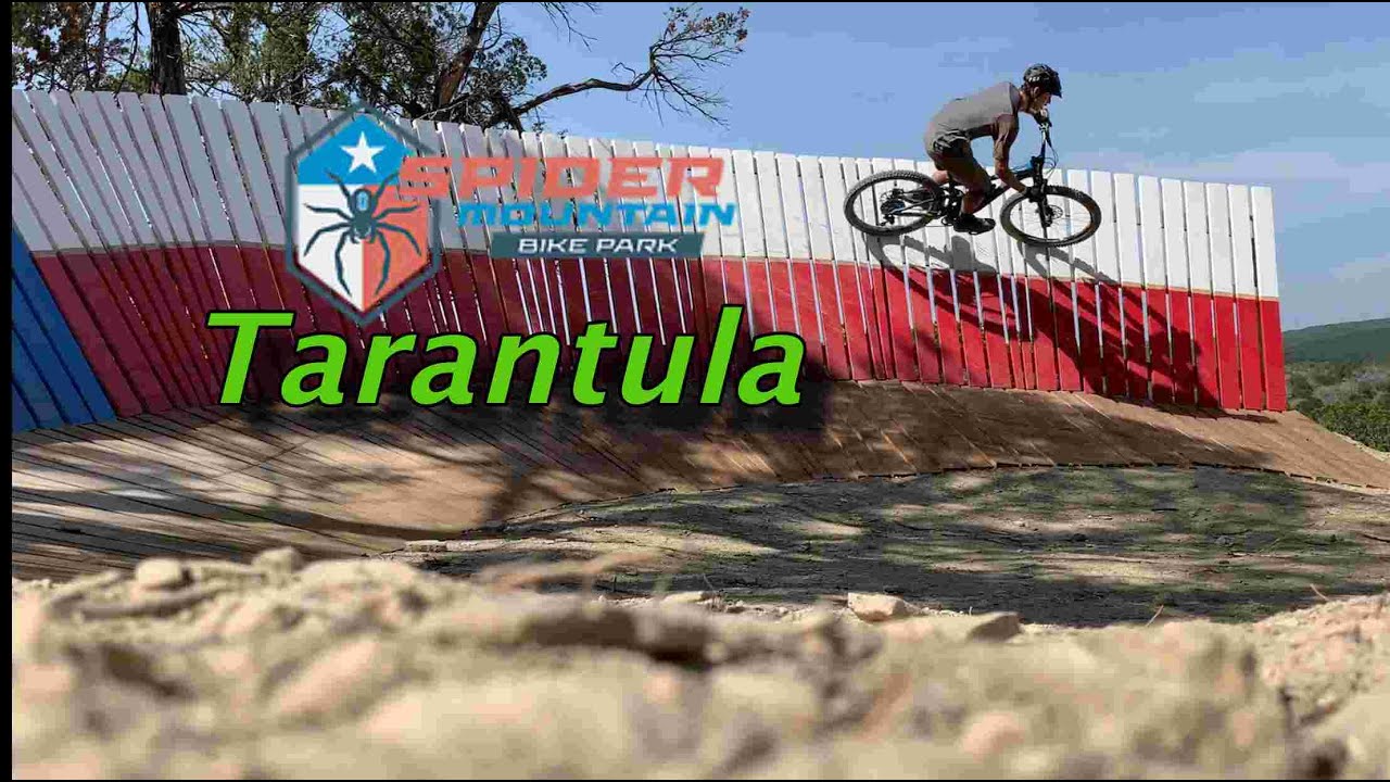 Spider Mountain/ new line/Tarantula