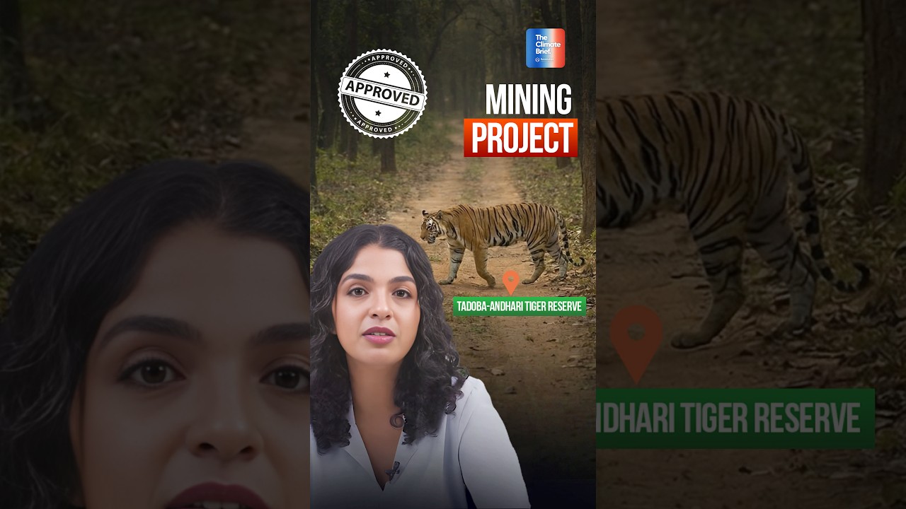 What's Behind Maharashtra's Controversial Mining Approval?
