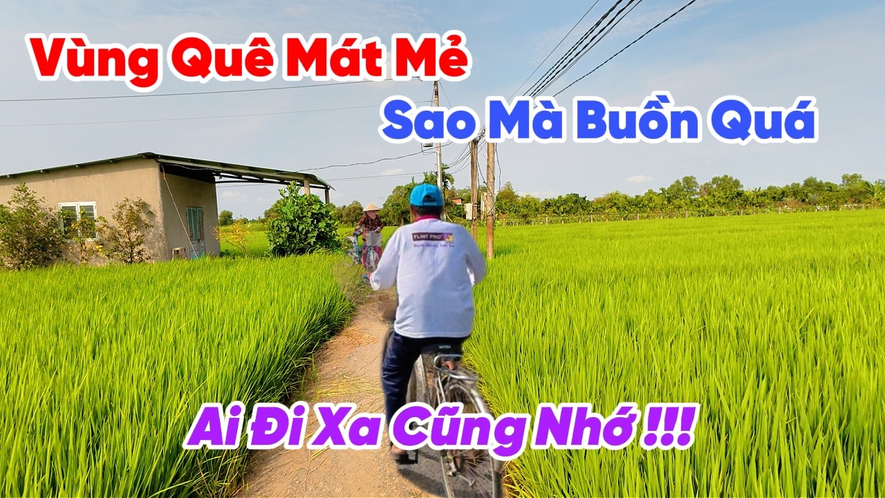 Ai Đi Xa Cũng Nhớ, Khám Phá Miền Quê Mát Mẻ Ở Tân Trụ Long An | Nắng Đẹp Miền Quê