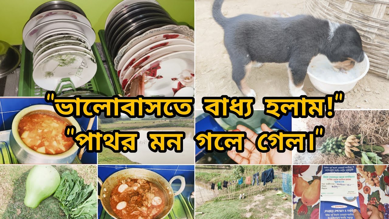 🌺​কখন যে ওর মায়ায় পড়ে গেলাম বুঝতেই পারিনি।🥰অচেনা মায়ায় বাঁধা: যেভাবে আমার মন বদলে গেল। village Life.