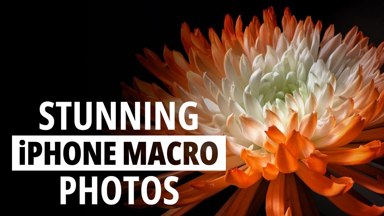 Секреты потрясающих макрофотографий на iPhone