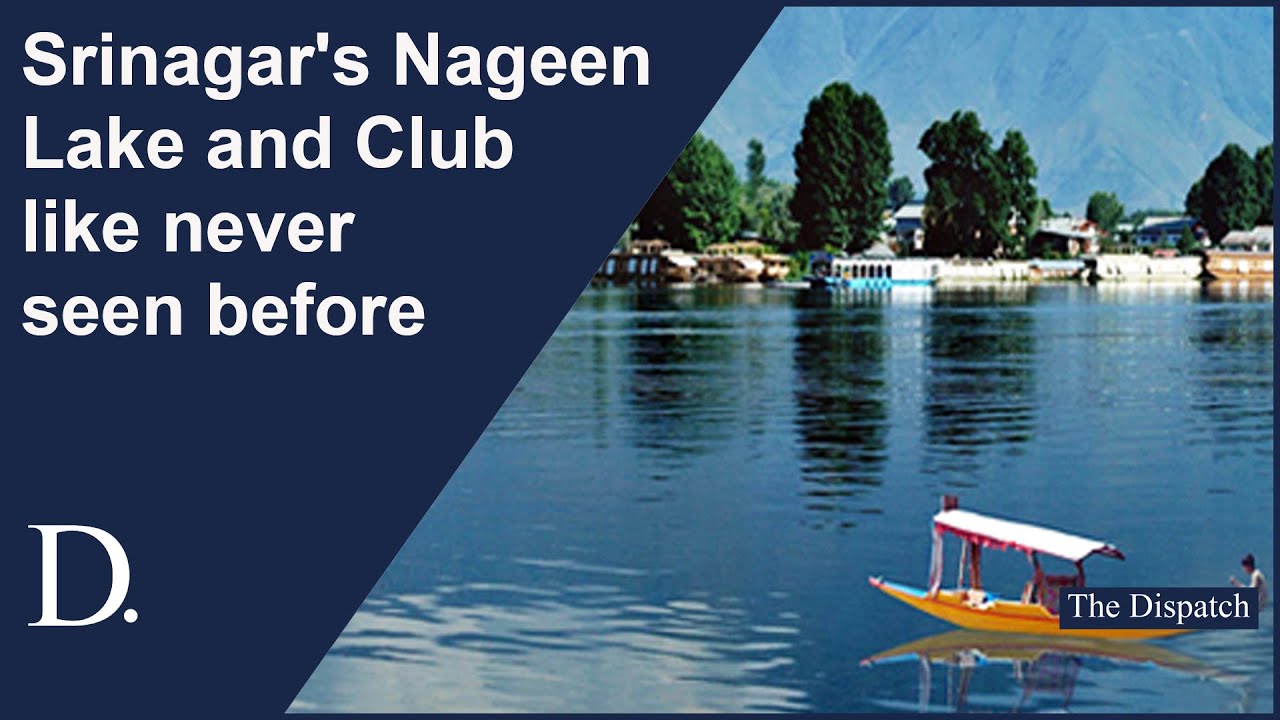 Srinagar's Nageen Lake and Club like never seen before | The Dispatch