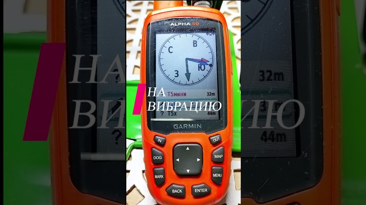 Ошейник T20 и его датчики лая Bark Detect  hd. какой датчик лая?