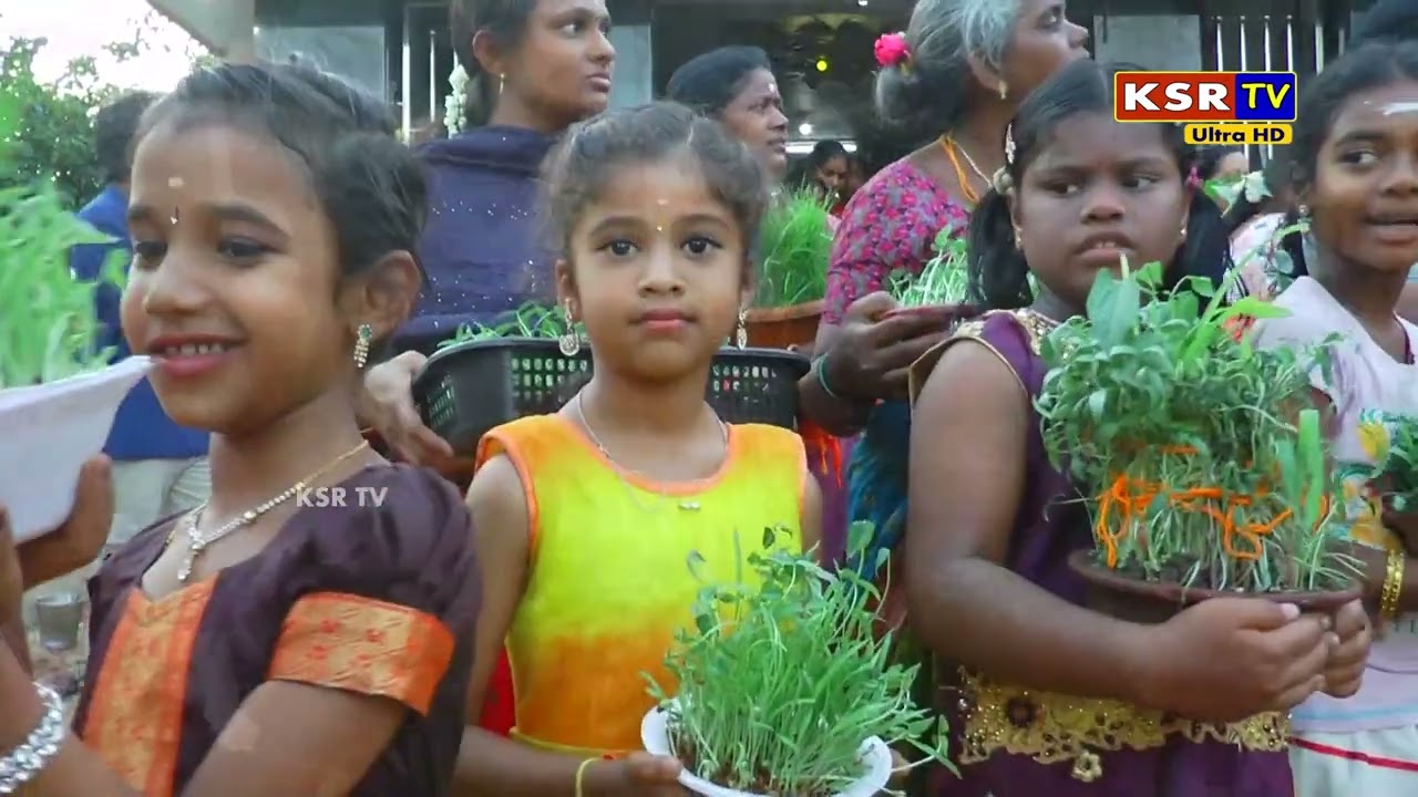 முளைப்பாலிகை | கவுந்தப்பாடி காமாட்சி அம்மன் திருக்கோயில் கும்பாபிஷேக விழா | KSR TV ERODE