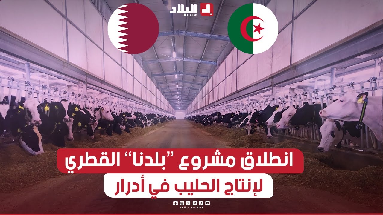 انطلاق أكبر مشروع زراعي لإنتاج الحليب المجفف لشركة 