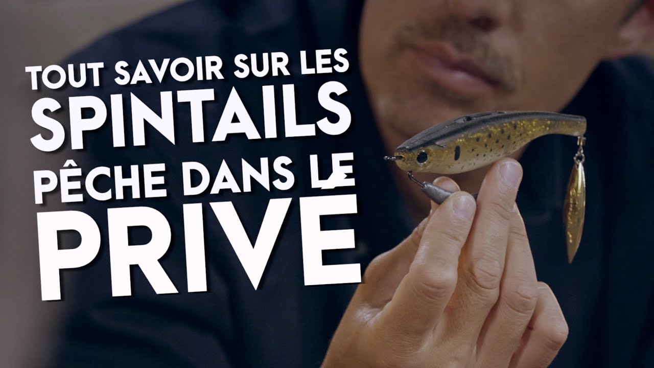 COMMENT PÊCHER AVEC LES SPINTAILS ? // LA PÊCHE DES CARNASSIERS DANS LE PRIVÉ //FC 32