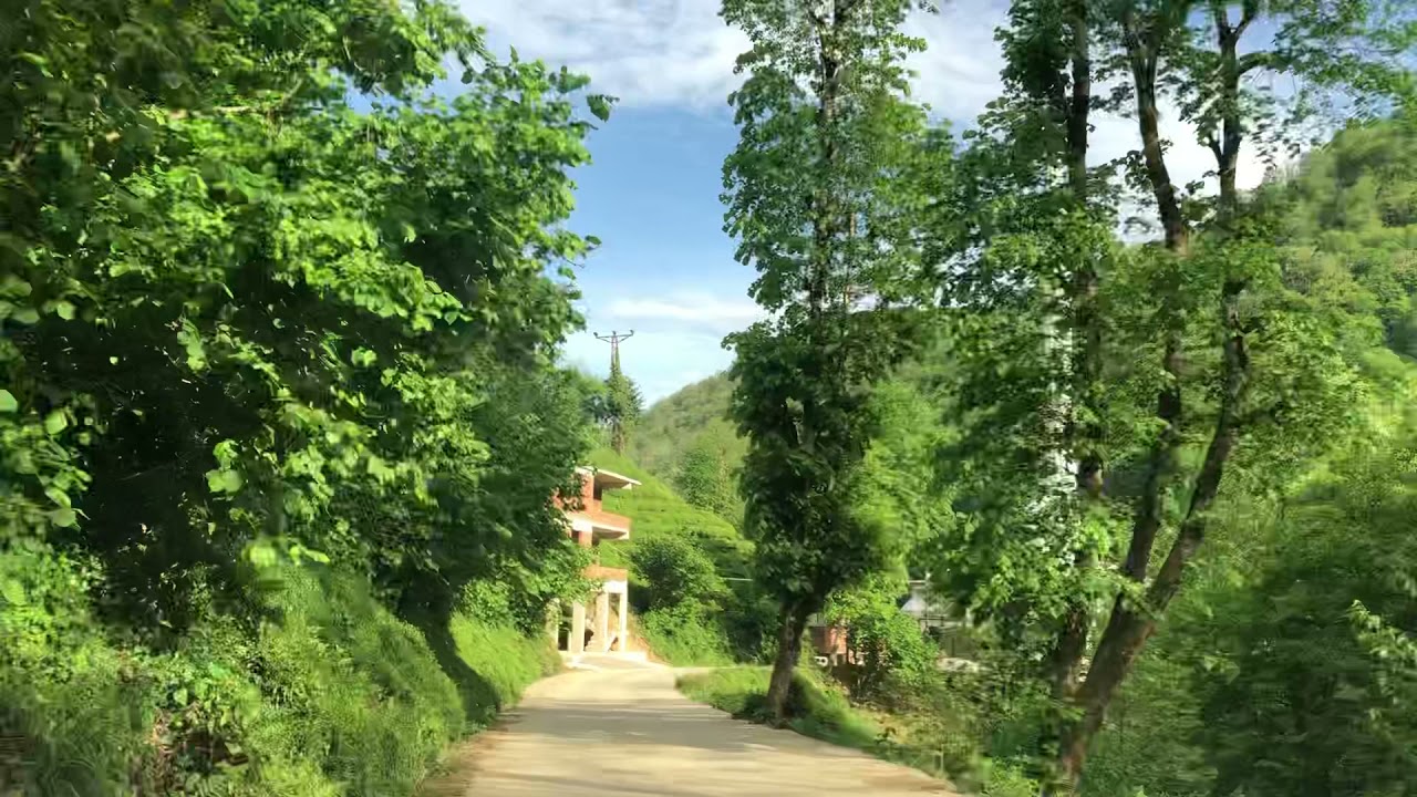 Artvin borçka güreşen
