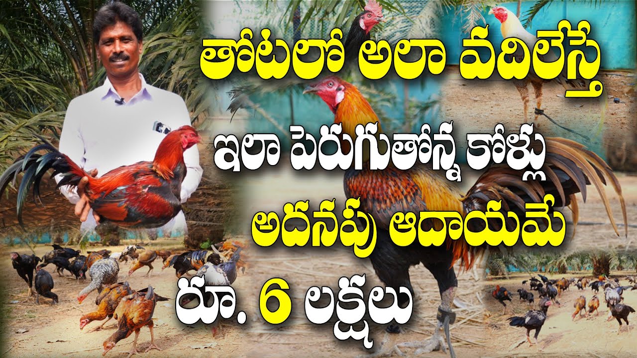 👉👉 తోట ఉంటే లక్షలు వచ్చే Idea 💡 ఇది |  Natukolla Pempakam | Satyanarayana