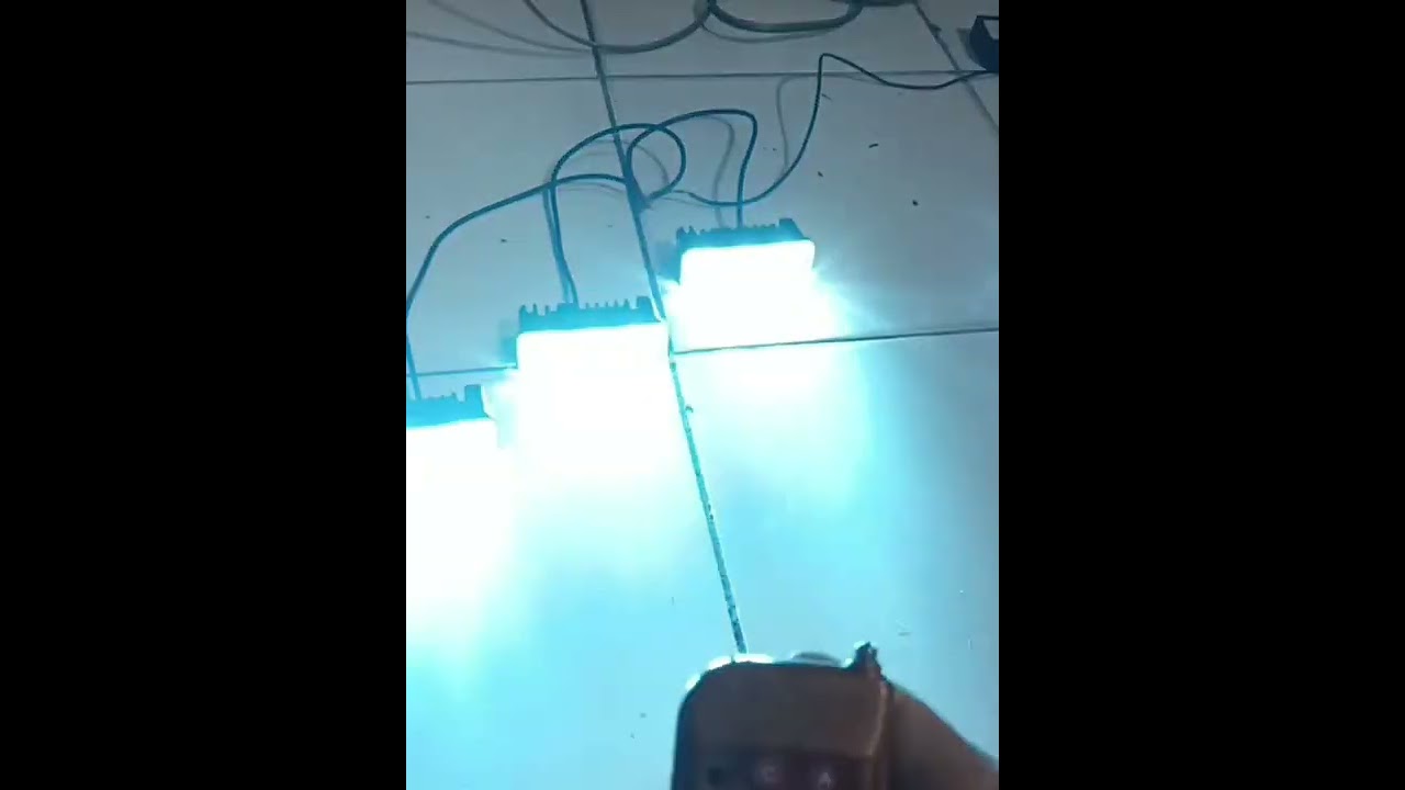 strobo 