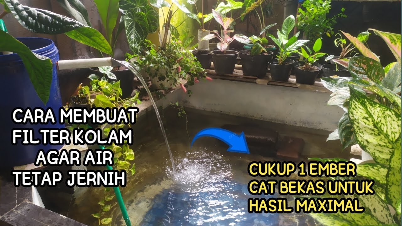 CARA MEMBUAT FILTER KOLAM AGAR AIR TETAP JERNIH