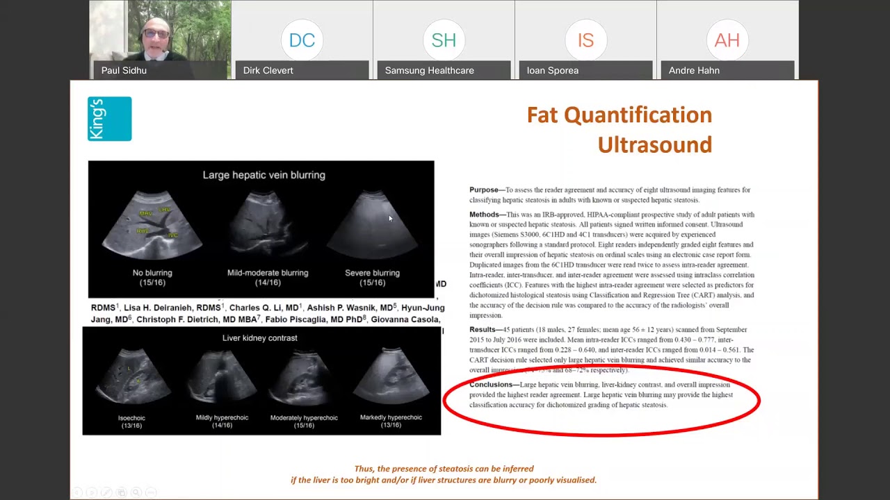 20201124 EFSUMB Sidhu fat quantification video