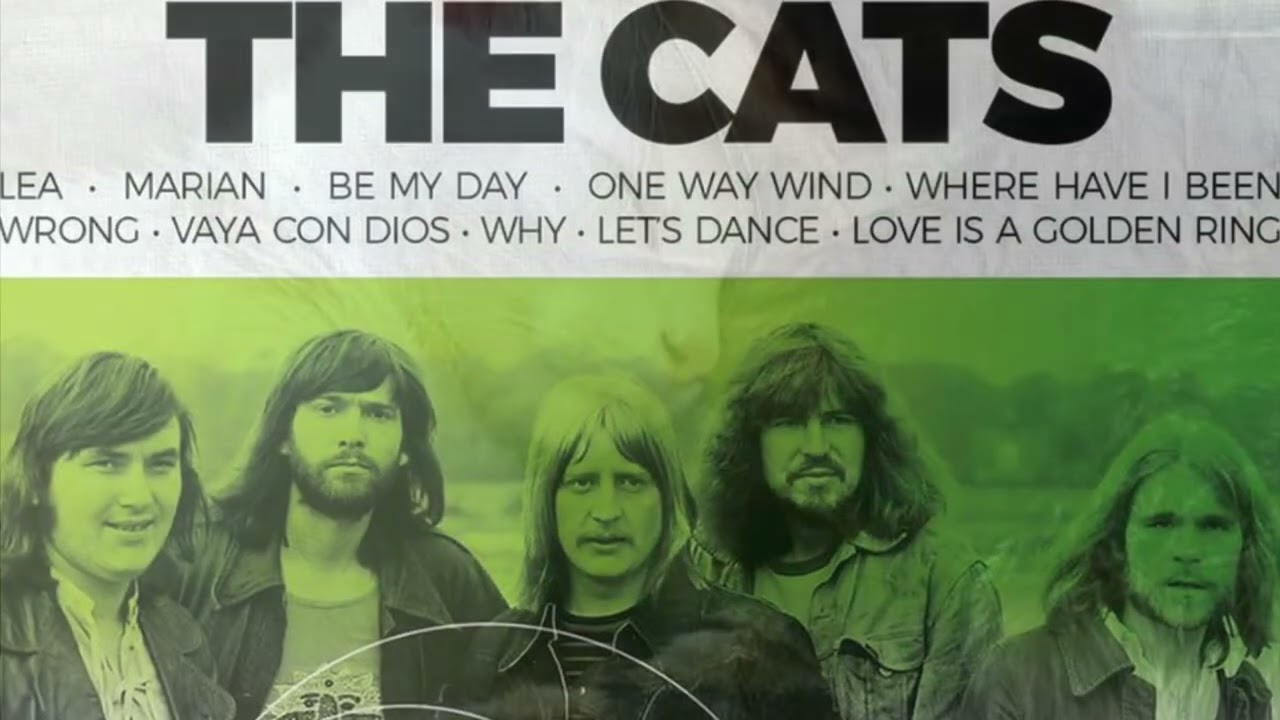 The Best Of The Cats Medley 
