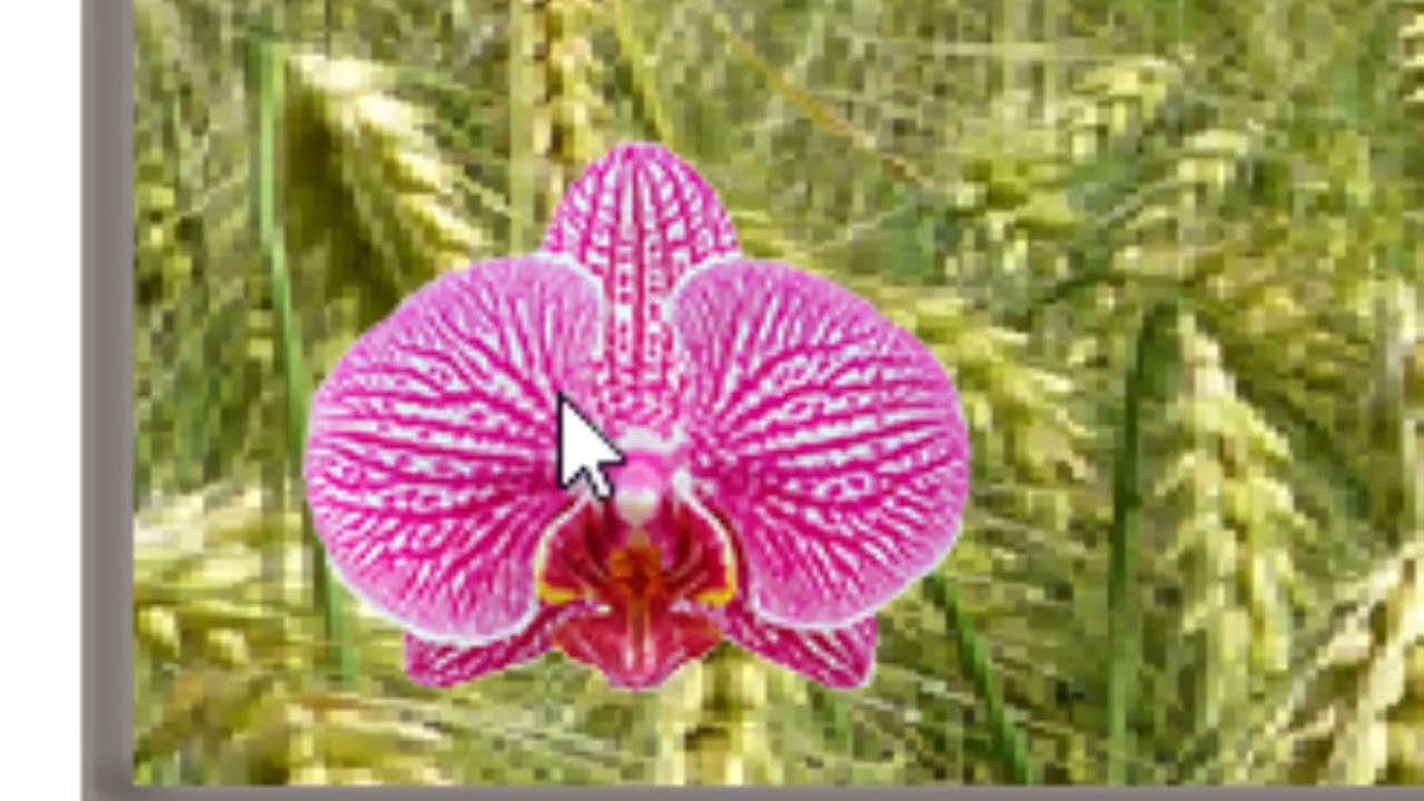 ClearType Text Tuner