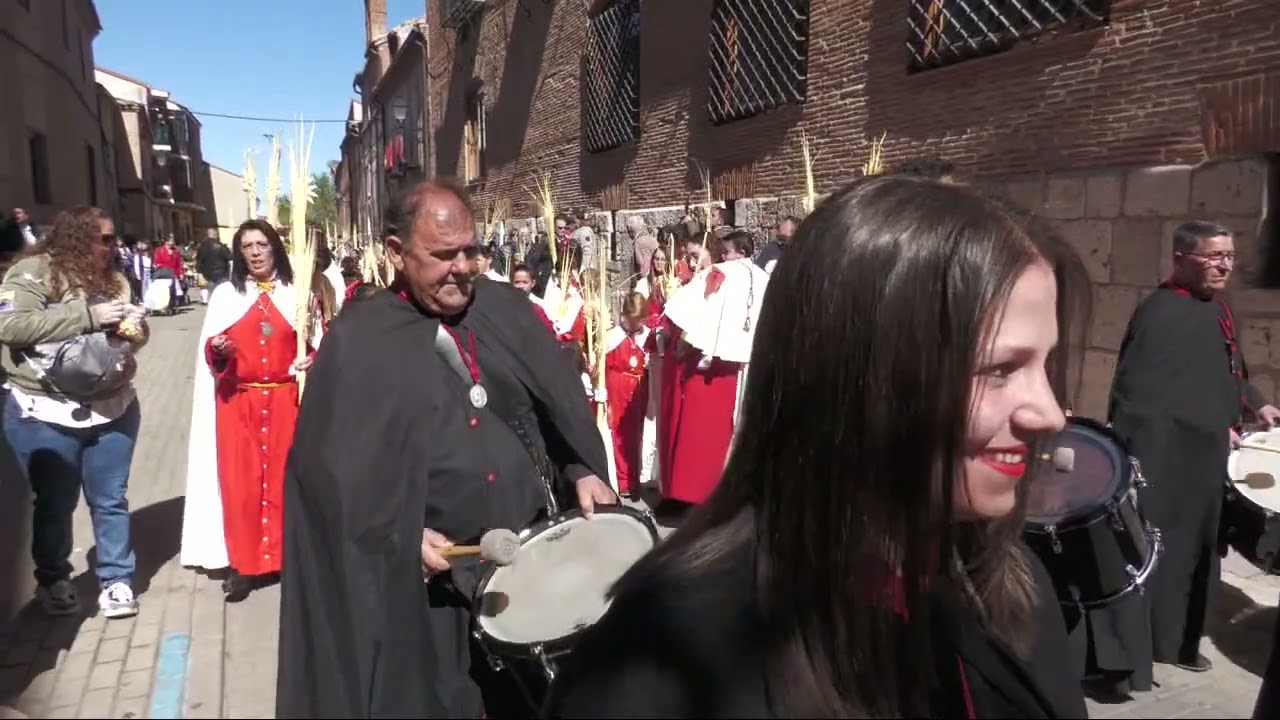 Procesión de la Borriquilla - Semana Santa 2023 Medina del Campo