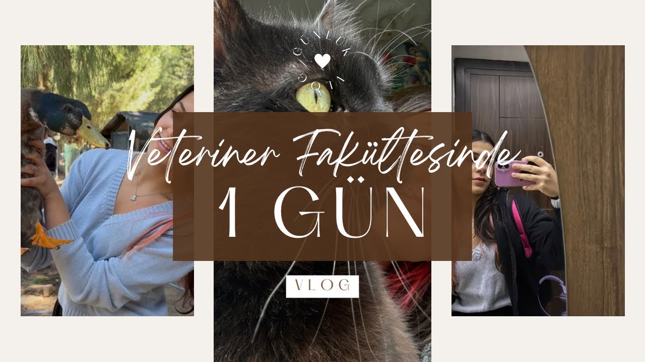 #vlog ADÜ Veteriner Fakültesi'nde Bir Gün