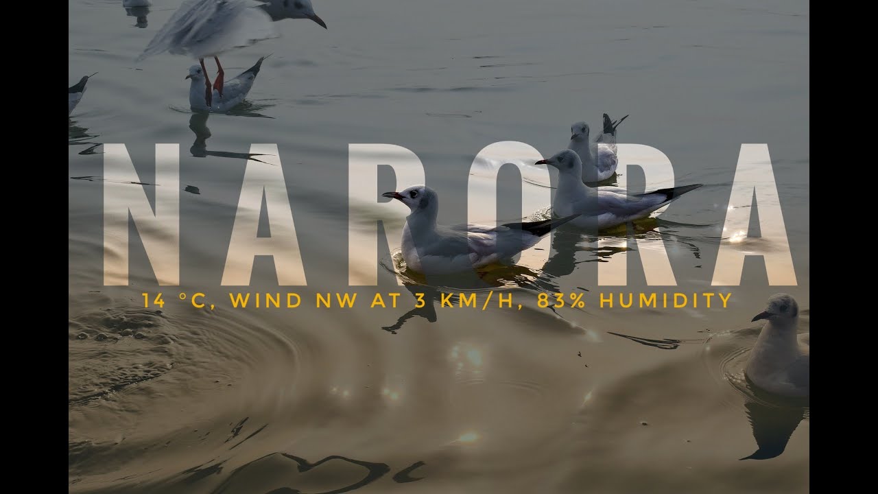 NARORA  ||  V L O G