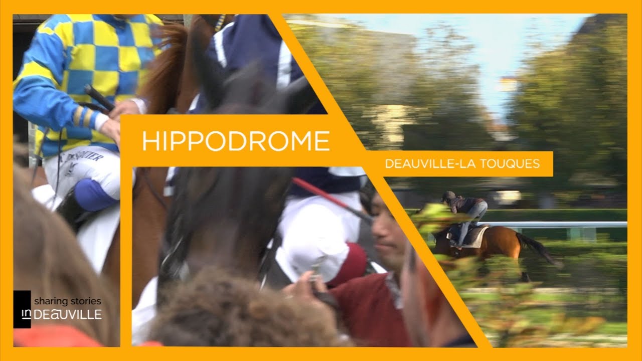 EN FAMILLE - Le centre d'entraînement de l'hippodrome de Deauville-La Touques