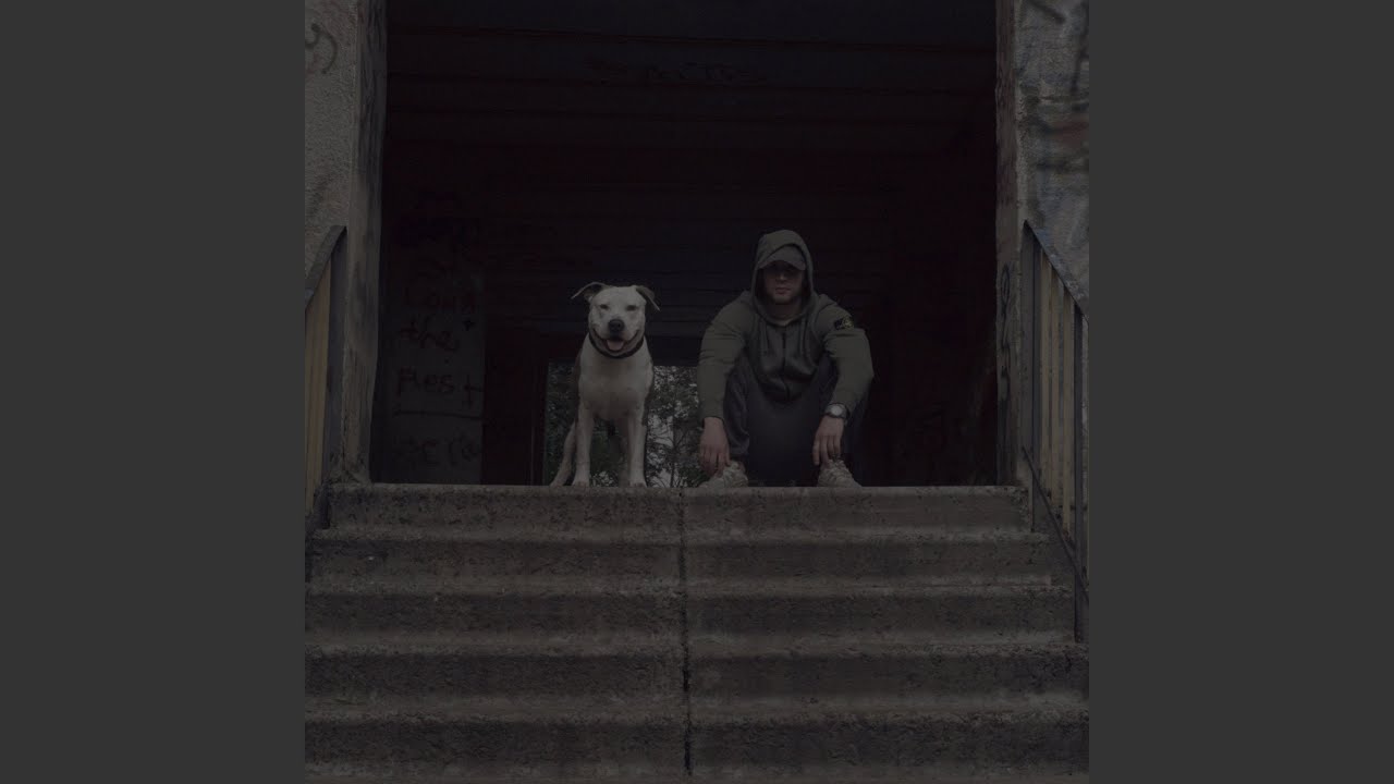 Стоник