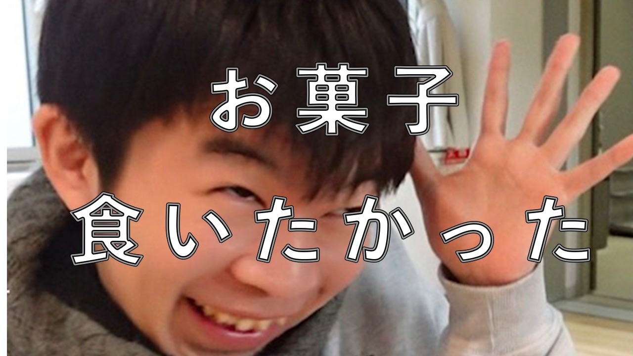 ただお菓子を食いたかっただけの動画