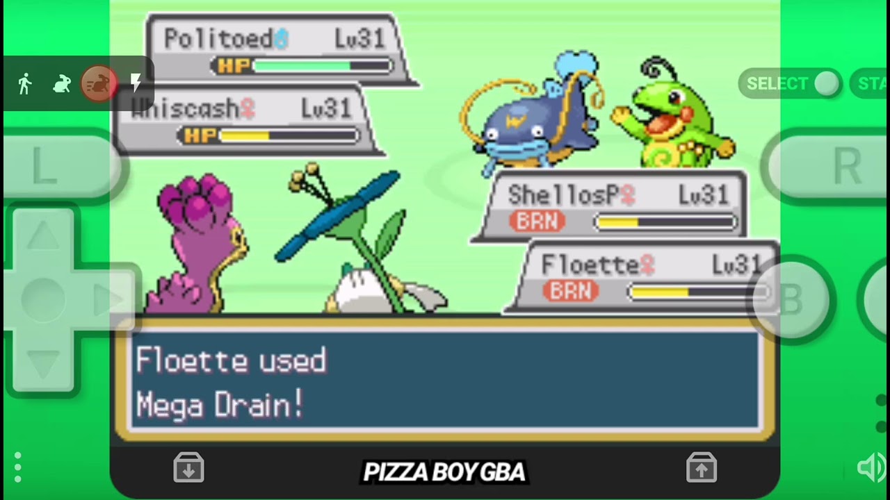 Pok&eacute;mon Supreme Fire Mewtwo's Revenge : Beating Misty (Flab&eacute;b&eacute; starter)
